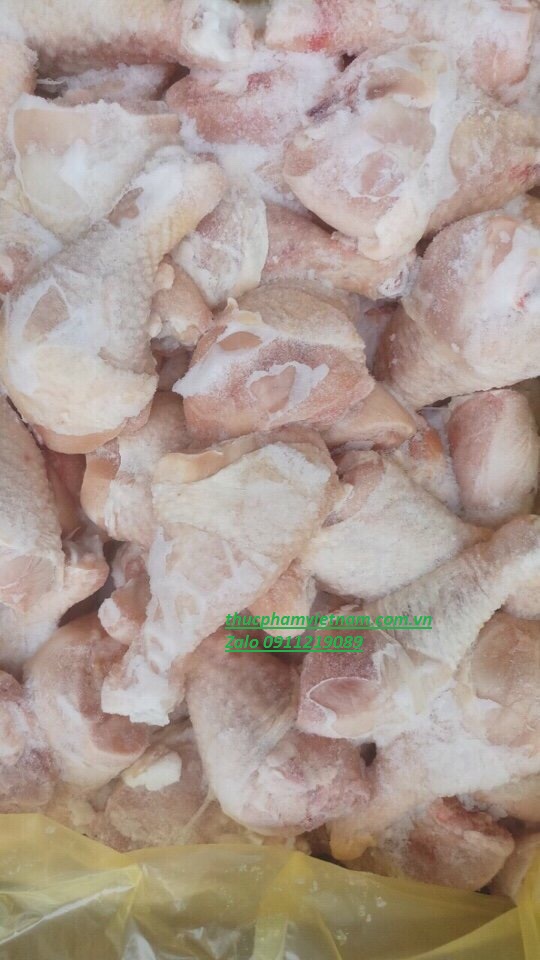 Tỏi Gà Đông Lạnh Hà Nội – Mua Ở Đâu Uy Tín, Giá Tốt?